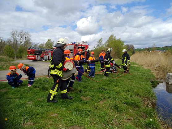 &Uuml;ber den Zaun gestiegen (Foto: &Uuml;ber den Zaun gestiegen)