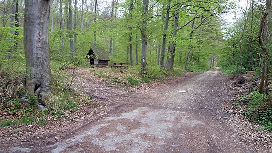 Waldwildnis falsch verstanden (Foto: Karl-Heinz Herrmann)
