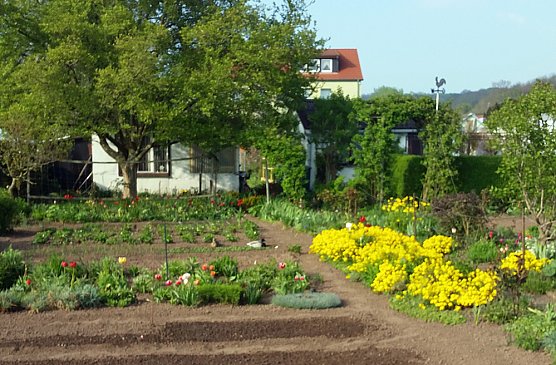Kleing&auml;rtner sind immer Naturfreunde (Foto: Thomas Leipold)