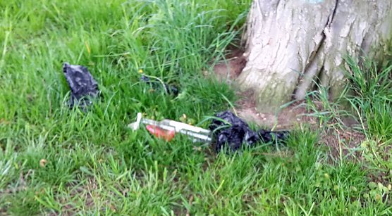 Probleme mit der Sauberkeit (Foto: Karl-Heinz Herrmann)