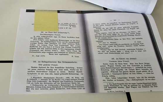 Rollenspiele - Franz Liszt (Foto: Karl-Heinz Herrmann)