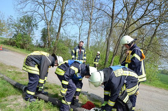 12 Frisch ausgebildete Truppfrauen und Truppm&auml;nner (Foto: Andreas Hocke)