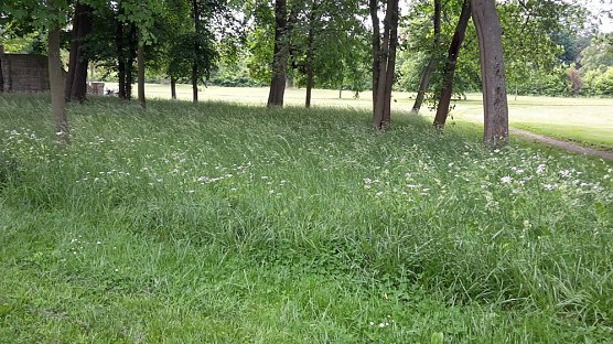 Sondershausen macht sich schick (Foto: Karl-Heinz Herrmann)