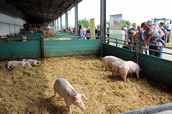  Ansturm auf das Hoffest (Foto: Karl-Heinz Herrmann)