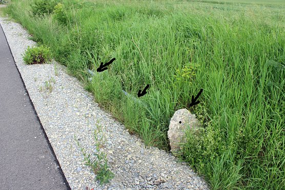 Die Probleme mit der Sicherheit am Radweg (Foto: Karl-Heinz Herrmann)