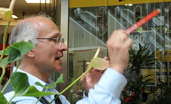 Mit Zimmermannsbleistift dirigiert (Foto: Karl-Heinz Herrmann) Mit Zimmermannsbleistift dirigiert (Foto: Karl-Heinz Herrmann)