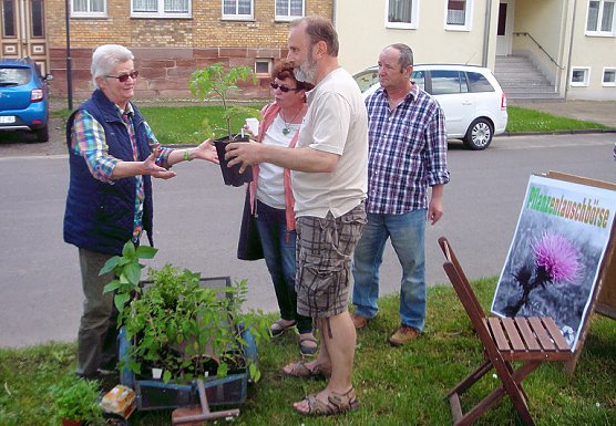 Dieses war der 3. Streich�. (Foto: Peter Zimmer)