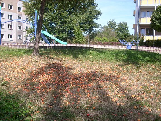 Spielplatz &Ouml;stertal (Foto: Karl-Heinz Herrmann)