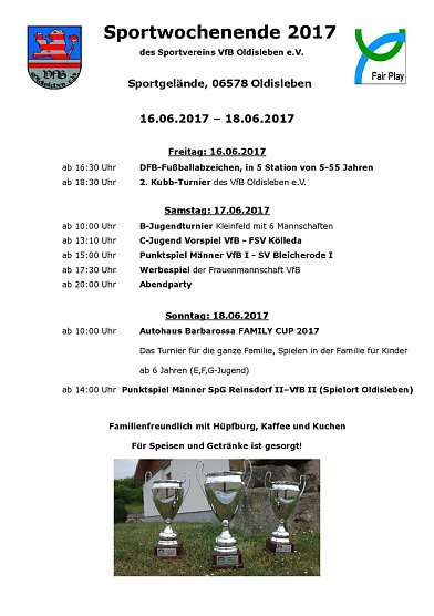 Sportwochenende 2017 in Oldisleben (Foto: VfB Oldisleben)