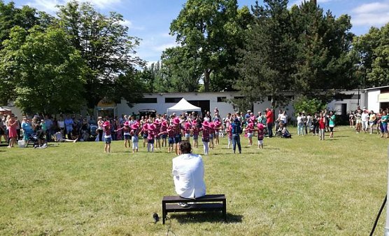 Vom Tag der Vereine Artern (Foto: Jörg Schlottmann) Vom Tag der Vereine Artern (Foto: Jörg Schlottmann)
