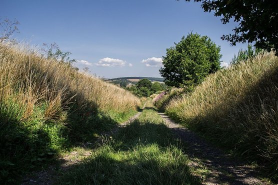 Wetterbild (Foto: Gernot Thelemann)