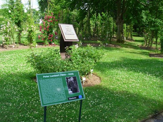 WB 4 besuchte Europa-Rosarium Sangerhausen (Foto: Thomas Leipold)