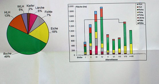 Waldbegehung mit Siegesmund und Kieling (Foto: Karl-Heinz Herrmann)