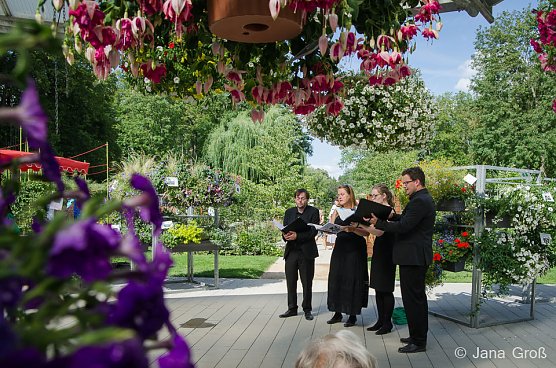 Siebenst&uuml;ndiger Auftritt aller f&uuml;nf Landesjugendensembles (Foto: Jana Gro&szlig;)