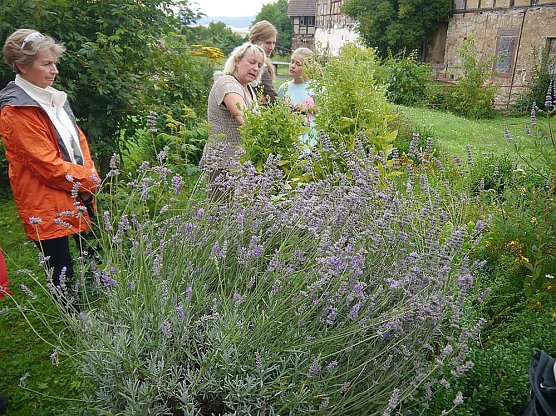 Kr&auml;uterf&uuml;hrung und Konzert (Foto: J&uuml;rgen Kieper)
