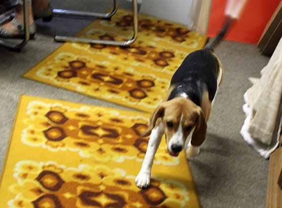 10 Prozent aus der Nutzung genommen (Foto: Karl-Heinz Herrmann)