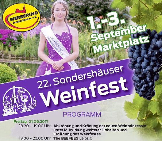 Weinfest (Foto: Werbering Sondershausen)