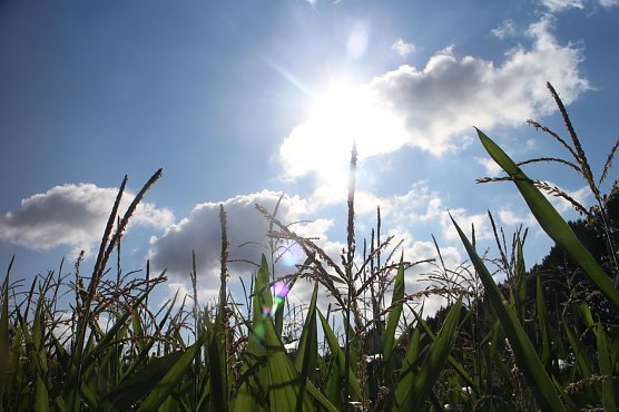 Wetterbild (Foto: Angelo Glashagel) Wetterbild (Foto: Angelo Glashagel)