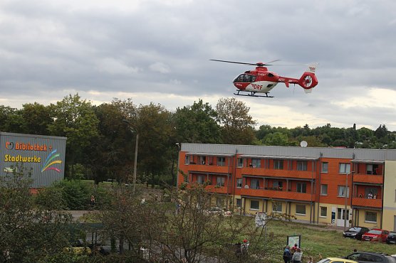 Ungew&ouml;hnlicher Landeplatz (Foto: Karl-Heinz Herrmann)