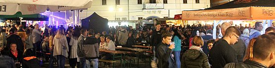 Weinprinzessin Shantel I. gekr&ouml;nt (Foto: Karl-Heinz Herrmann)