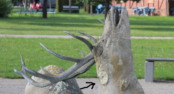 Vandalismus im Schlosspark Ebeleben (Foto: Karl-Heinz Herrmann)