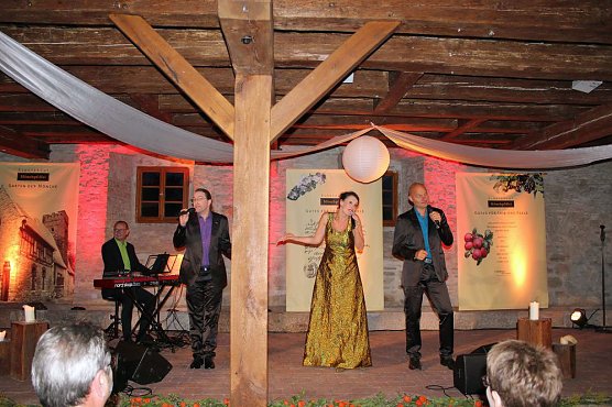 Rinder an die Macht (Foto: Karl-Heinz Herrmann)