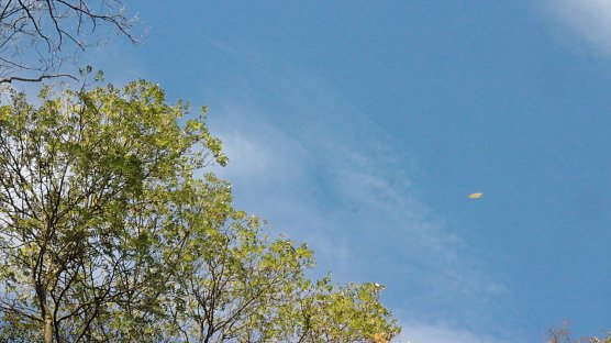 Sonnenschein mit kleinen Nebelfeldern  (Foto: nnz )