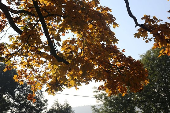 Wetterbild (Foto: Angelo Glashagel)