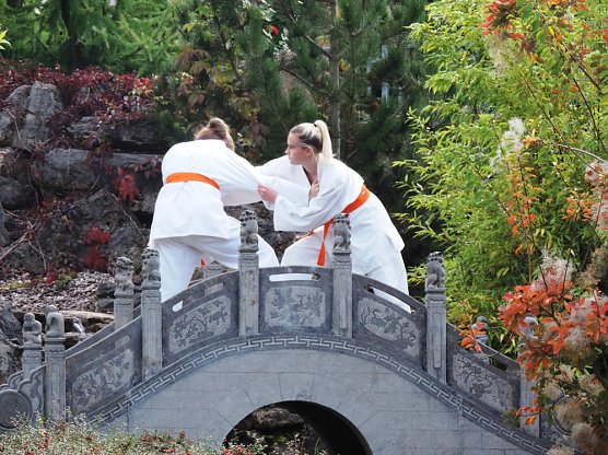 Vereinsfoto im Chinesischen Garten (Foto: Kampfkunstverein)