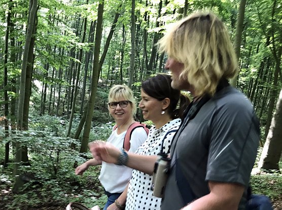 Waldwildnis kommt (Foto: Sylvia Spehr)