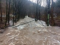 Die Beere bei Ilfeld (Foto: Susanne Schedwill)
