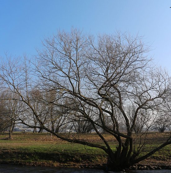 Wetterbild (Foto: Angelo Glashagel)
