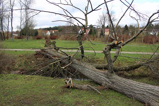 Kleiner Parksee im Schlosspark &uuml;bergelaufen (Foto: Karl-Heinz Herrmann)