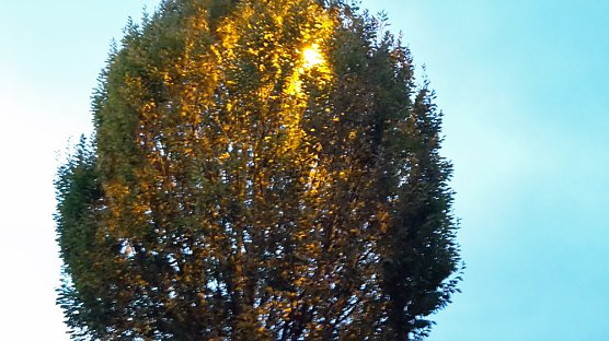 Jecha und seine Straßen - 10 Jahre nichts getan? (Foto: privat) Jecha und seine Straßen - 10 Jahre nichts getan? (Foto: privat)