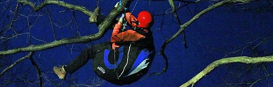 Gleitschirmflieger auf Baum (Foto: Silvio Dietzel) Gleitschirmflieger auf Baum (Foto: Silvio Dietzel)