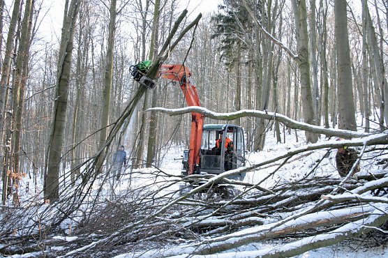Aufr&auml;umarbeiten auf den Wanderwegen in der Hohen Schrecke gehen voran (Foto: Projektb&uuml;ro Hohe Schrecke)