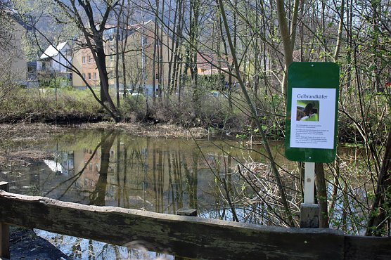 Mit Teichprojekt zur Titelverteidigung (Foto: Karl-Heinz Herrmann)