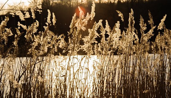 Wetterbild (Foto: Gernot Thelemann)