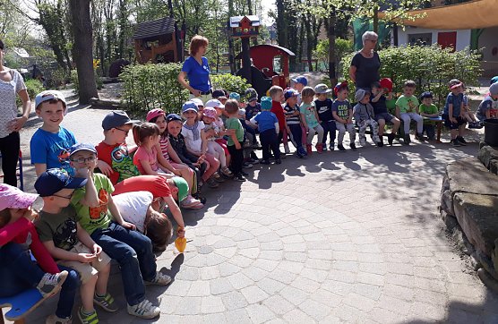 Fliederbaum gepflanzt (Foto: Kindervilla) Fliederbaum gepflanzt (Foto: Kindervilla)