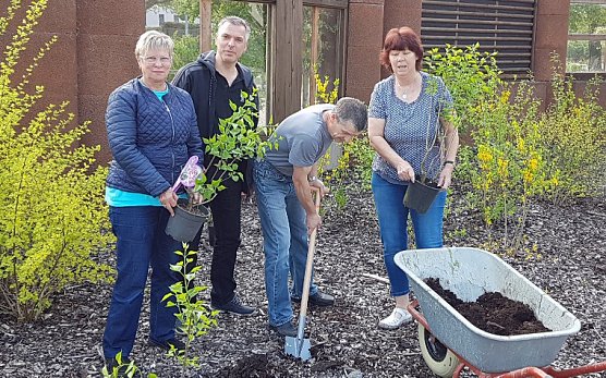 Fliederb&auml;ume gesetzt (Foto: Jens L&uuml;decken)