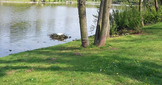 Lob an Bauhof/G&auml;rtnerei und mehr (Foto: Karl-Heinz Herrmann)