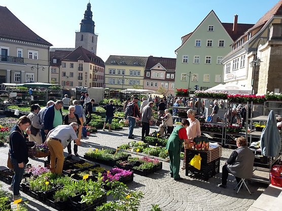 Eine F&uuml;lle an Pflanzen (Foto: Karl-Heinz Herrmann)