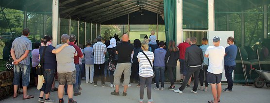 Komm zum Pferd... (Foto: Karl-Heinz Herrmann)