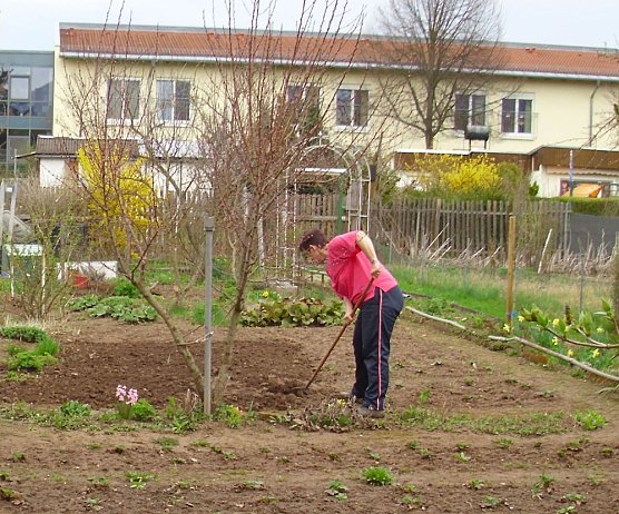 Kleingärtner beseitigen Unwetterschäden (Foto: Thomas Leipold) Kleingärtner beseitigen Unwetterschäden (Foto: Thomas Leipold)