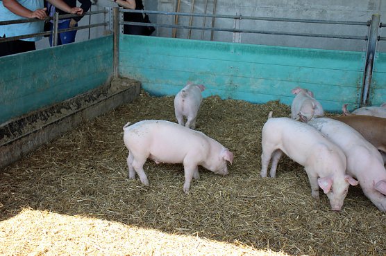 Massenansturm beim Hoffest in Greu&szlig;en (Foto: Karl-Heinz Herrmann)