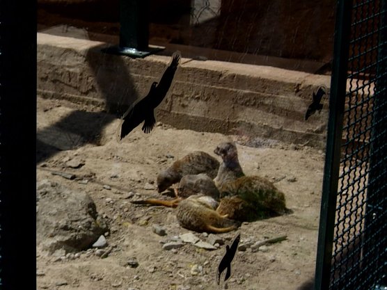 Ausflug auf den Possen (Foto: Thomas Leipold) Ausflug auf den Possen (Foto: Thomas Leipold)