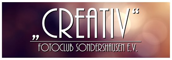 Fotos gegen Spende (Foto: Holger Schurack)