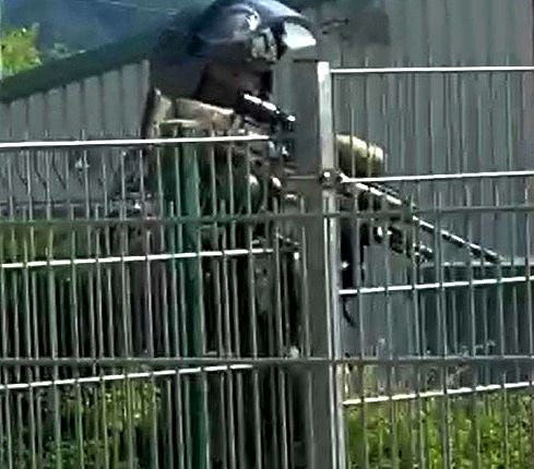 Schwer bewaffnet (Foto: privat) Schwer bewaffnet (Foto: privat)