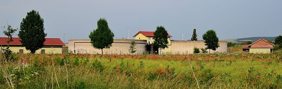Tag der offenen T&uuml;r (Foto: Stadtmarketing Bad Frankenhausen)