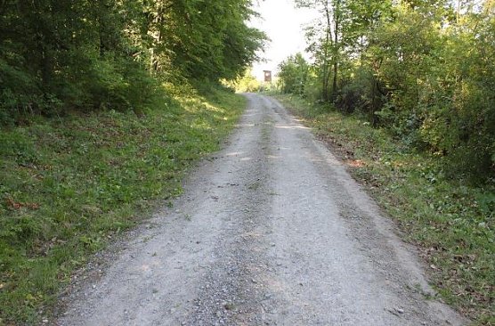 Dem Wald was Gutes tun � Viel bewegt beim Arbeitseinsatz (Foto: Andreas Links)